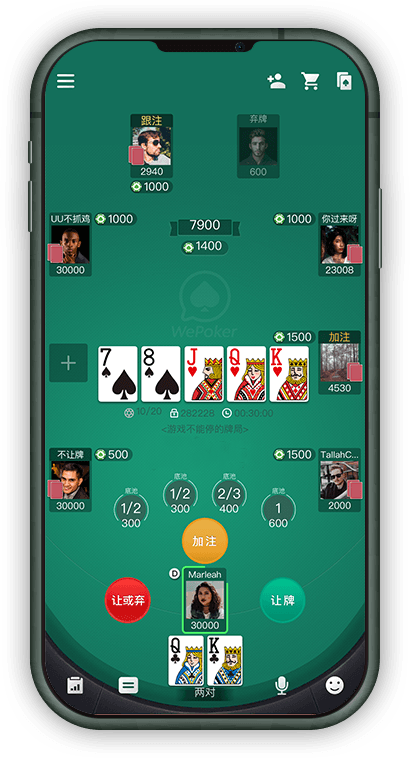 WEPoker界面展示